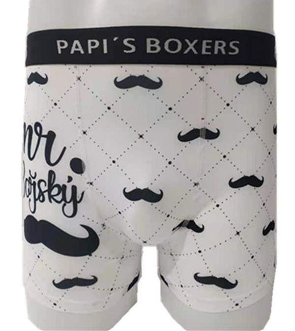 Men's printed comfortable boxers (03)