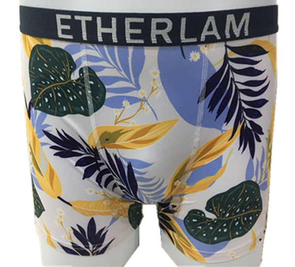 Men's comfortable printed boxers (24)