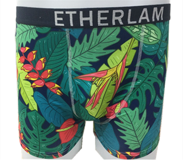 Men's comfortable printed boxers (20)