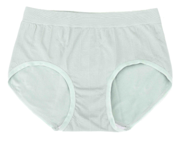 Modal frosted cotton women's underwear