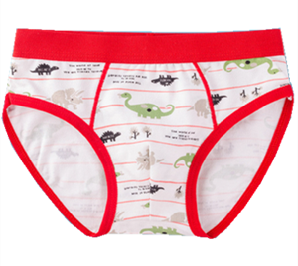 Boy's cotton soft and comfortable underwear