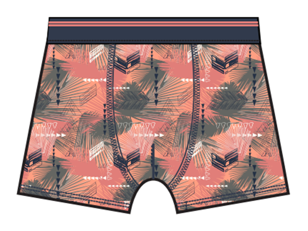 Boy's cotton printed boxers