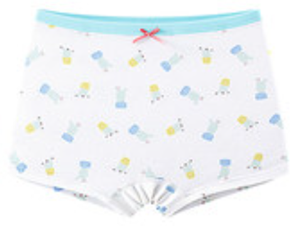 Girls dry comfortable pure cotton underwear