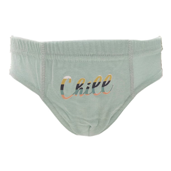 Boys' cotton printed briefs