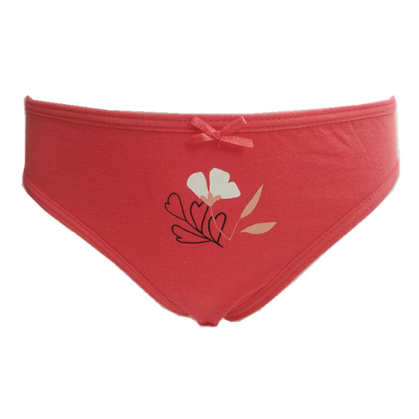 Girls' briefs 95% cotton 5% spandex