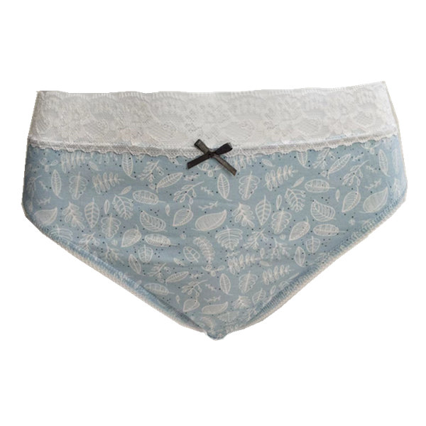 Women's lace briefs