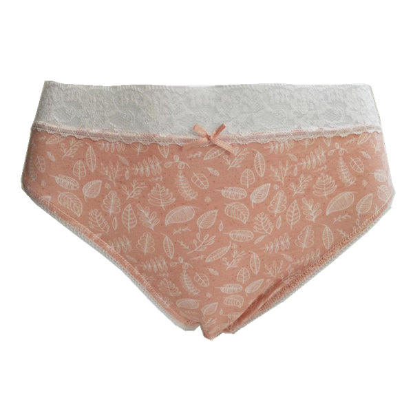 Women's Lace briefs (01)