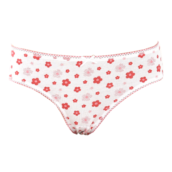 Women's comfortable silk-trimmed cotton briefs