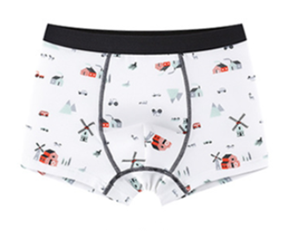 Boys' printed cotton comfortable underwear